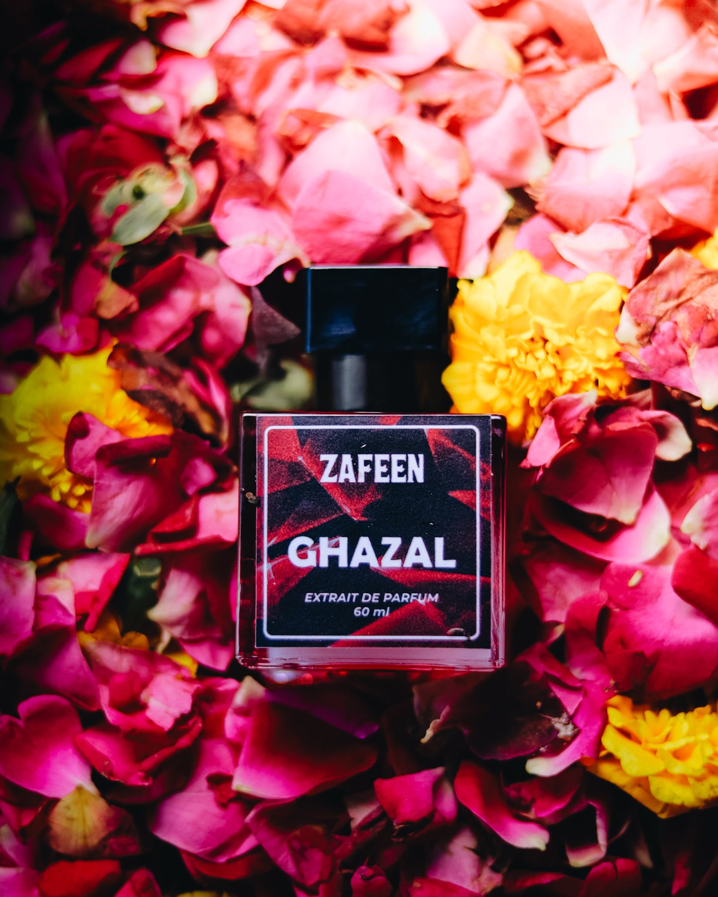 GHAZAL (for Her)